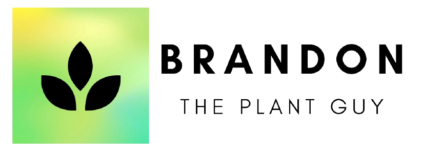 Home | Brandon The Plant Guy